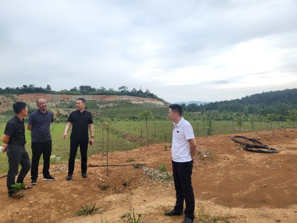 澧縣土地資源,澧縣公共基礎設施,澧縣工商業(yè)信息咨詢,澧縣澧州實業(yè)發(fā)展有限公司